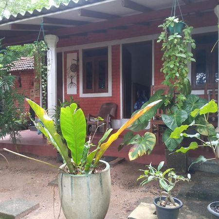 Angry Birds Homestay Habarana Phòng bức ảnh