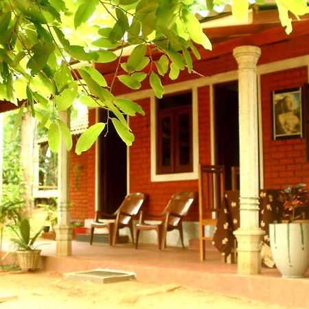 Angry Birds Homestay Habarana Ngoại thất bức ảnh