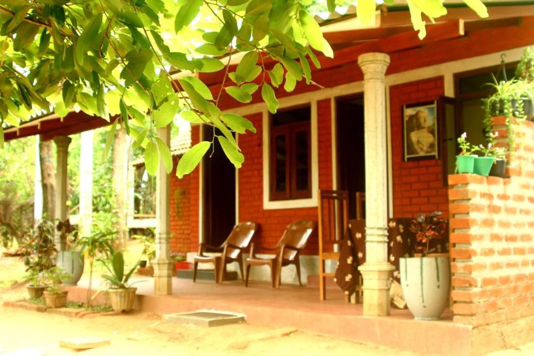Angry Birds Homestay Habarana Ngoại thất bức ảnh